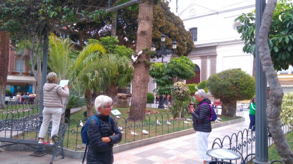 DSC_0681.JPG DSC_0681.JPG