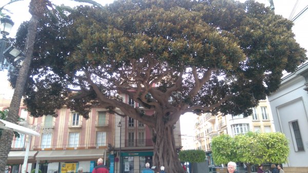 DSC_0684.JPG DSC_0684.JPG