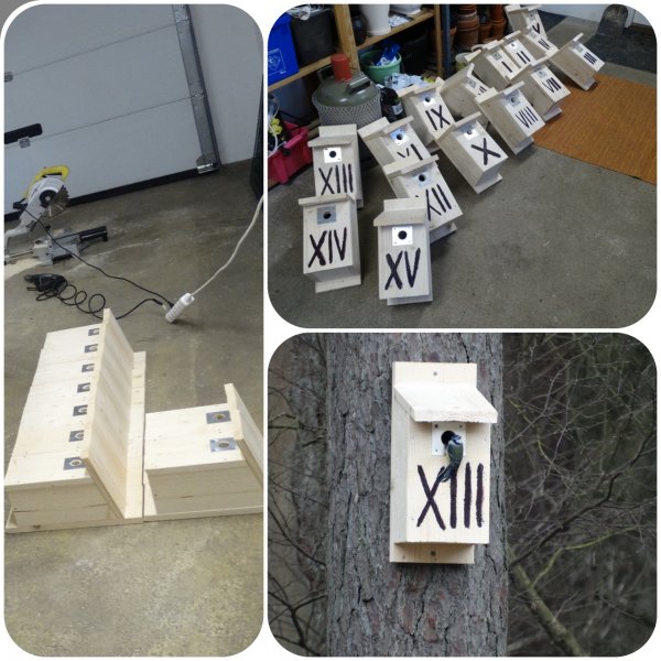 IMG_1769.JPG IMG_1769.JPG