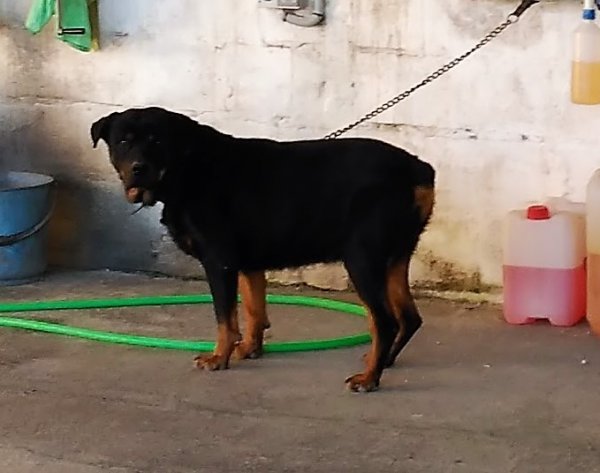 IMG_20161107_082412.jpg IMG_20161107_082412.jpg