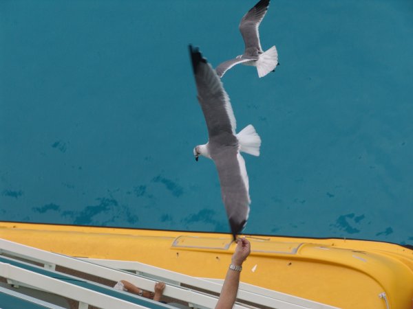 DSC07593.JPG DSC07593.JPG