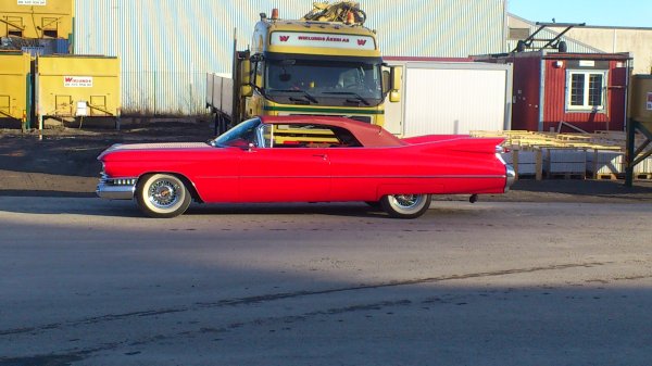 DSC_0038 (1).JPG DSC_0038 (1).JPG