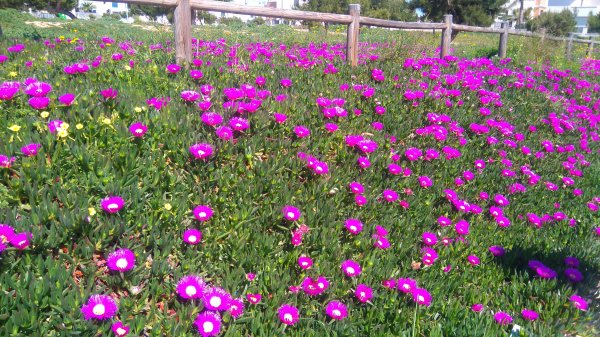 DSC_0768.JPG DSC_0768.JPG