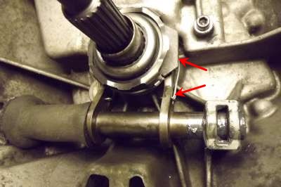 image.jpeg image.jpeg