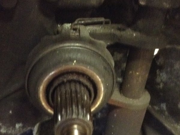 image.jpeg image.jpeg