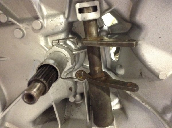 image.jpeg image.jpeg