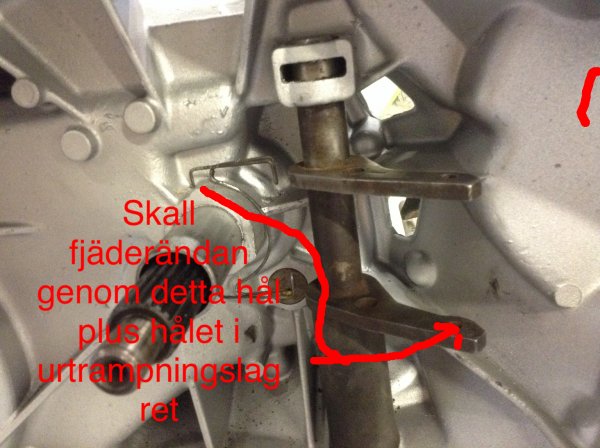 image.jpeg image.jpeg