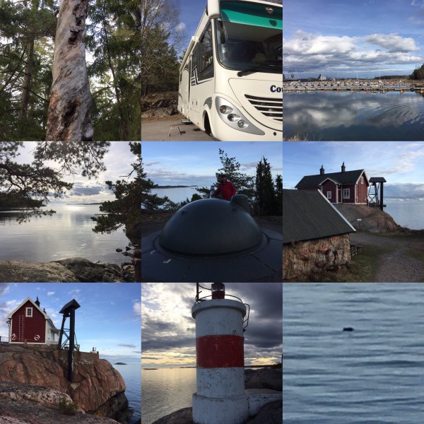 IMG_0195.JPG IMG_0195.JPG