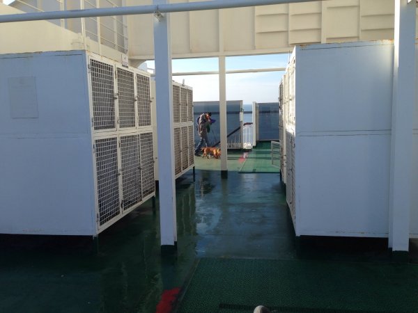 IMG_2272.JPG IMG_2272.JPG