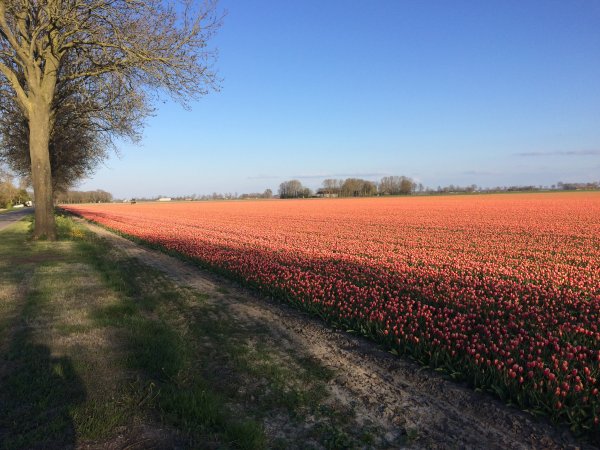 2017-04-18 18.53.22.jpg 2017-04-18 18.53.22.jpg