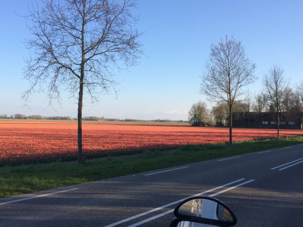 2017-04-18 19.09.49.jpg 2017-04-18 19.09.49.jpg