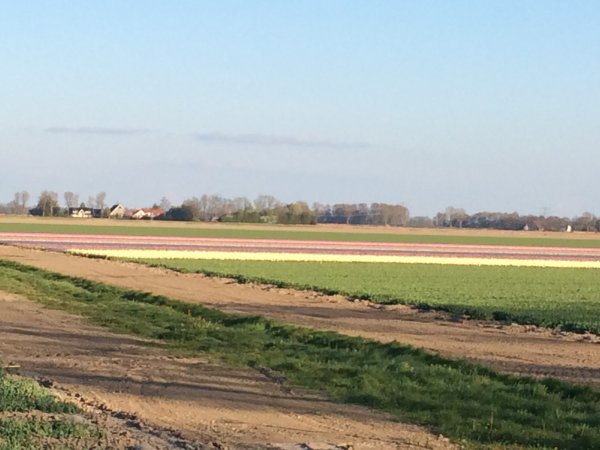 2017-04-18 19.12.17.jpg 2017-04-18 19.12.17.jpg