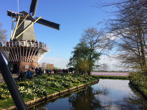 2017-04-19 09.54.09.jpg 2017-04-19 09.54.09.jpg