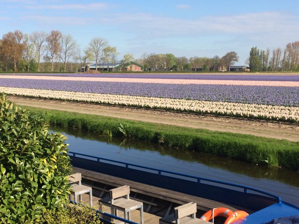 2017-04-19 10.02.22.jpg 2017-04-19 10.02.22.jpg