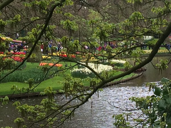 2017-04-19 12.56.43 HDR.jpg 2017-04-19 12.56.43 HDR.jpg