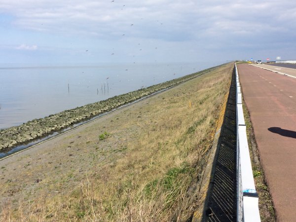 2017-04-19 14.58.12.jpg 2017-04-19 14.58.12.jpg