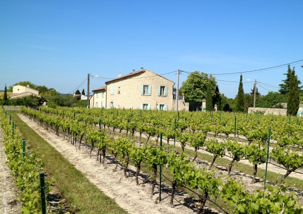 3 gården.jpg 3 gården.jpg