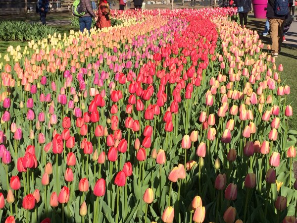 2017-04-19 09.38.45.jpg 2017-04-19 09.38.45.jpg