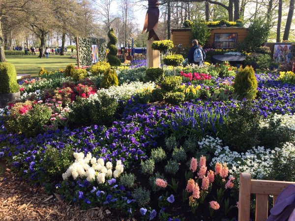 2017-04-19 09.45.18.jpg 2017-04-19 09.45.18.jpg