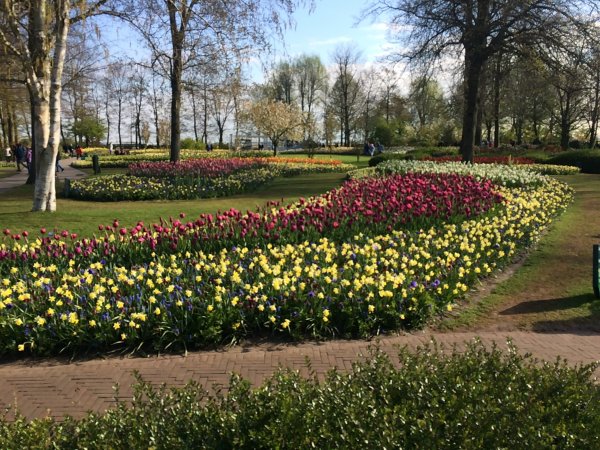 2017-04-19 09.49.04.jpg 2017-04-19 09.49.04.jpg