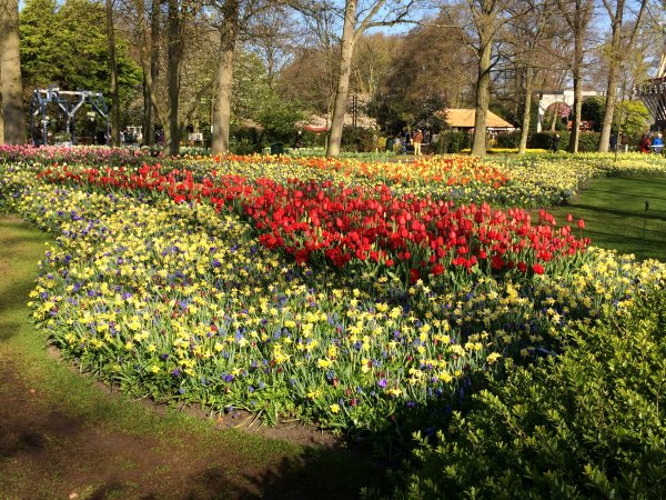 2017-04-19 09.50.04.jpg 2017-04-19 09.50.04.jpg