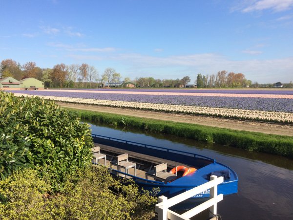 2017-04-19 10.02.24.jpg 2017-04-19 10.02.24.jpg