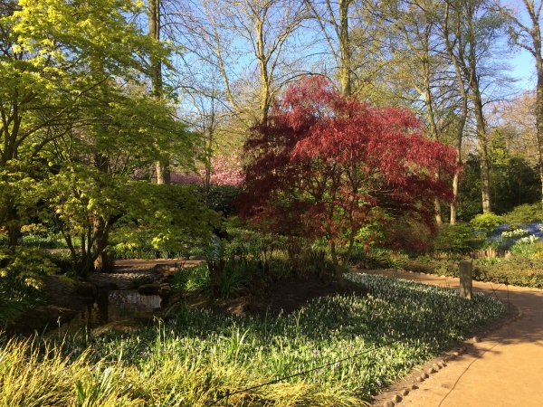 2017-04-19 10.04.24.jpg 2017-04-19 10.04.24.jpg