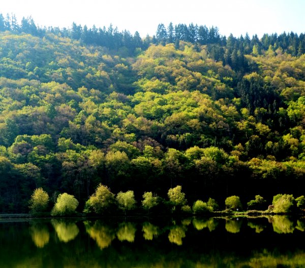 andra sidan.jpg andra sidan.jpg