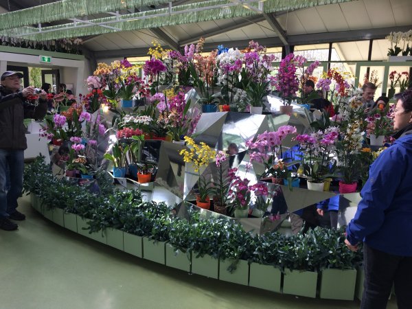 2017-04-19 10.33.02.jpg 2017-04-19 10.33.02.jpg