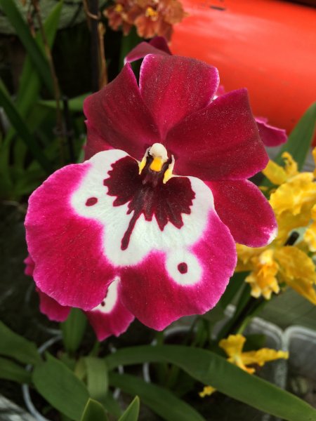 2017-04-19 10.37.53 HDR.jpg 2017-04-19 10.37.53 HDR.jpg