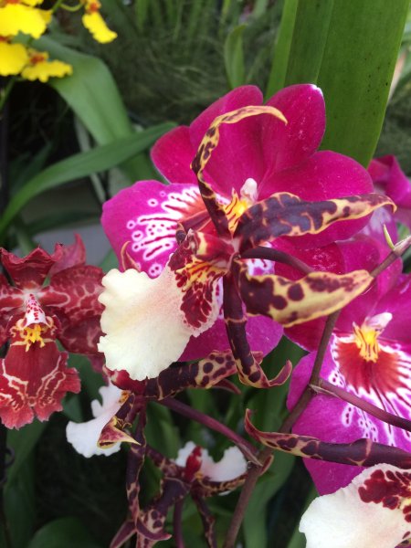 2017-04-19 10.37.29.jpg 2017-04-19 10.37.29.jpg