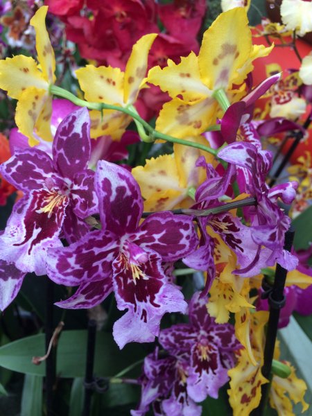 2017-04-19 10.37.45.jpg 2017-04-19 10.37.45.jpg