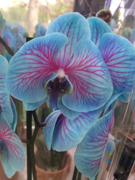 2017-04-19 10.38.40.jpg 2017-04-19 10.38.40.jpg