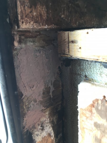 2017-05-01 11.19.05.jpg