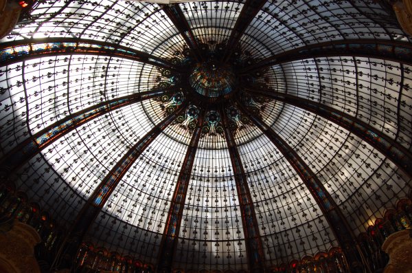 DSC_0137.JPG DSC_0137.JPG