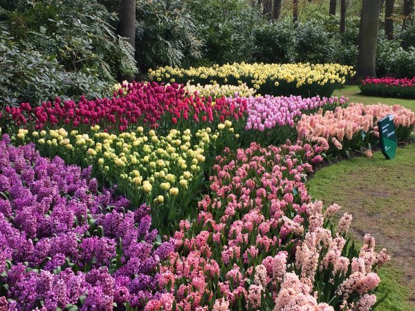 2017-04-19 10.47.38.jpg 2017-04-19 10.47.38.jpg