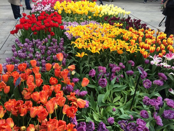 2017-04-19 10.52.03.jpg 2017-04-19 10.52.03.jpg