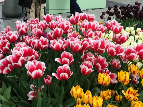 2017-04-19 10.52.42.jpg 2017-04-19 10.52.42.jpg