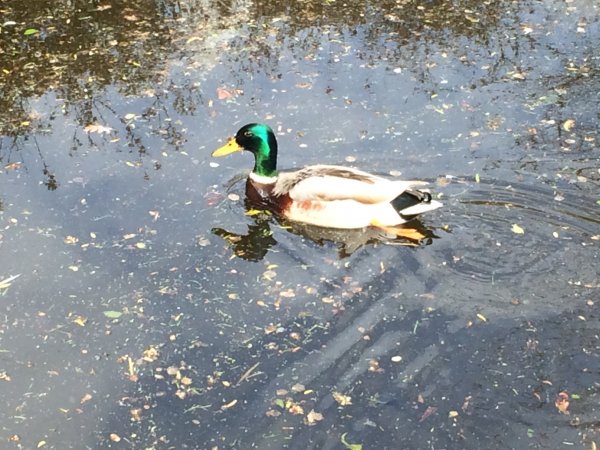 2017-04-19 11.36.55.jpg 2017-04-19 11.36.55.jpg