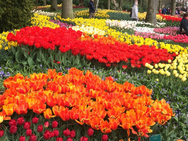 2017-04-19 12.00.04.jpg 2017-04-19 12.00.04.jpg