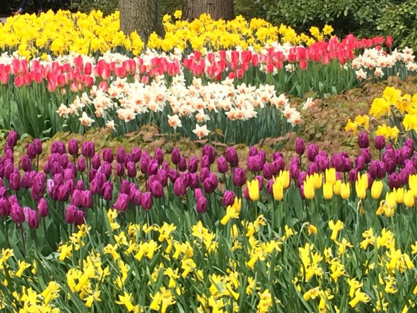 2017-04-19 12.47.55.jpg 2017-04-19 12.47.55.jpg