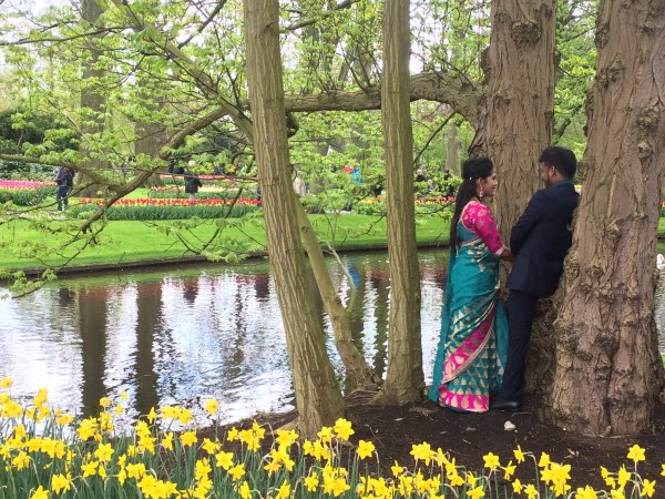 2017-04-19 12.54.38 HDR.jpg 2017-04-19 12.54.38 HDR.jpg