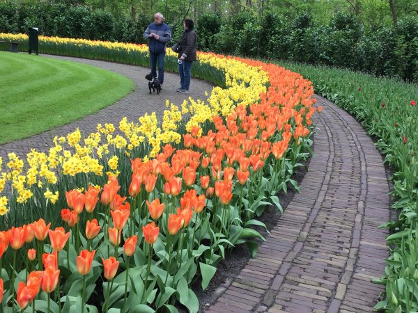 2017-04-19 12.55.13.jpg 2017-04-19 12.55.13.jpg