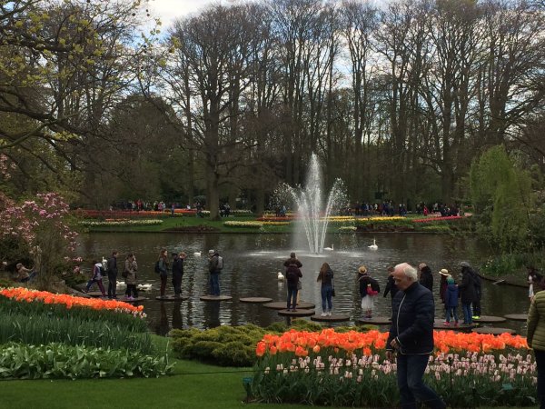 2017-04-19 13.00.30 HDR.jpg 2017-04-19 13.00.30 HDR.jpg