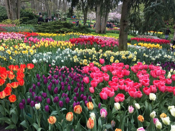 2017-04-19 13.08.47.jpg 2017-04-19 13.08.47.jpg