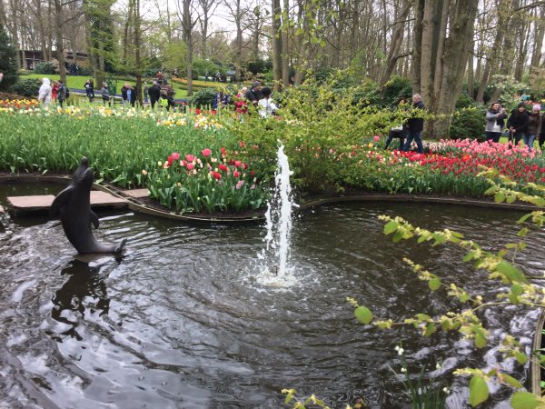 2017-04-19 13.08.56.jpg 2017-04-19 13.08.56.jpg