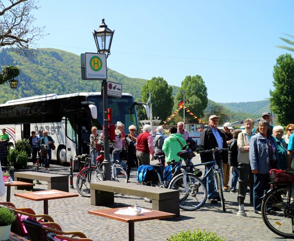 5 buss och cyklar.jpg 5 buss och cyklar.jpg