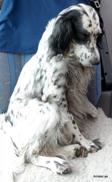 1-DSC01474.JPG 1-DSC01474.JPG