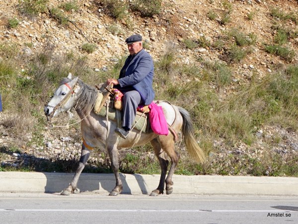 1711-20.JPG 1711-20.JPG