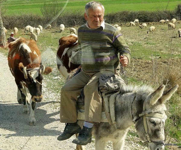 1711-22.JPG 1711-22.JPG